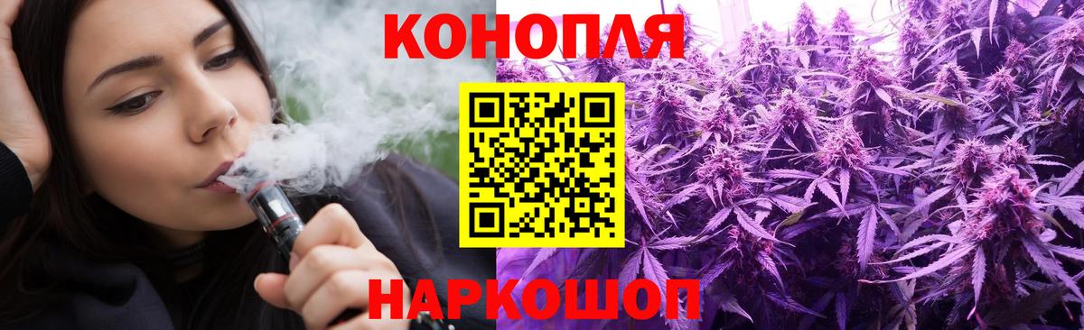 Конопля план  Бошки Шишки сатива  Норильск  Вход с VPN  Каннабис LSD WEED 